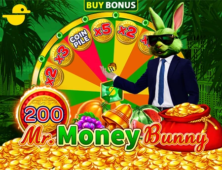 Mr Money Bunny